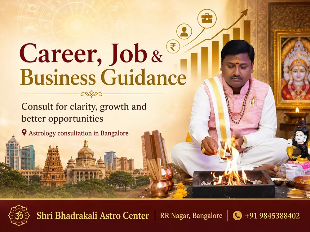career, job and business guidance by best astrologer in bangalore